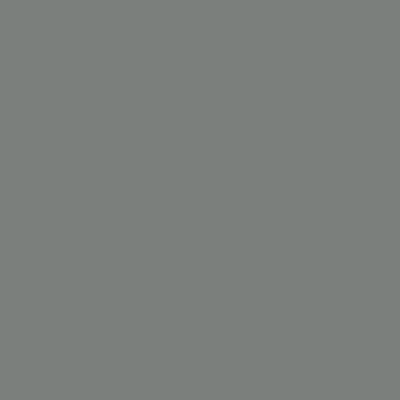 colours/DustGreyGloss.png