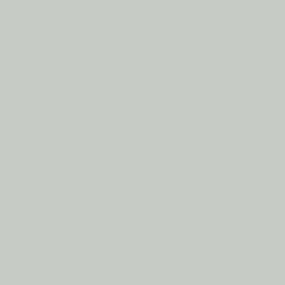colours/LightGreyGloss.png
