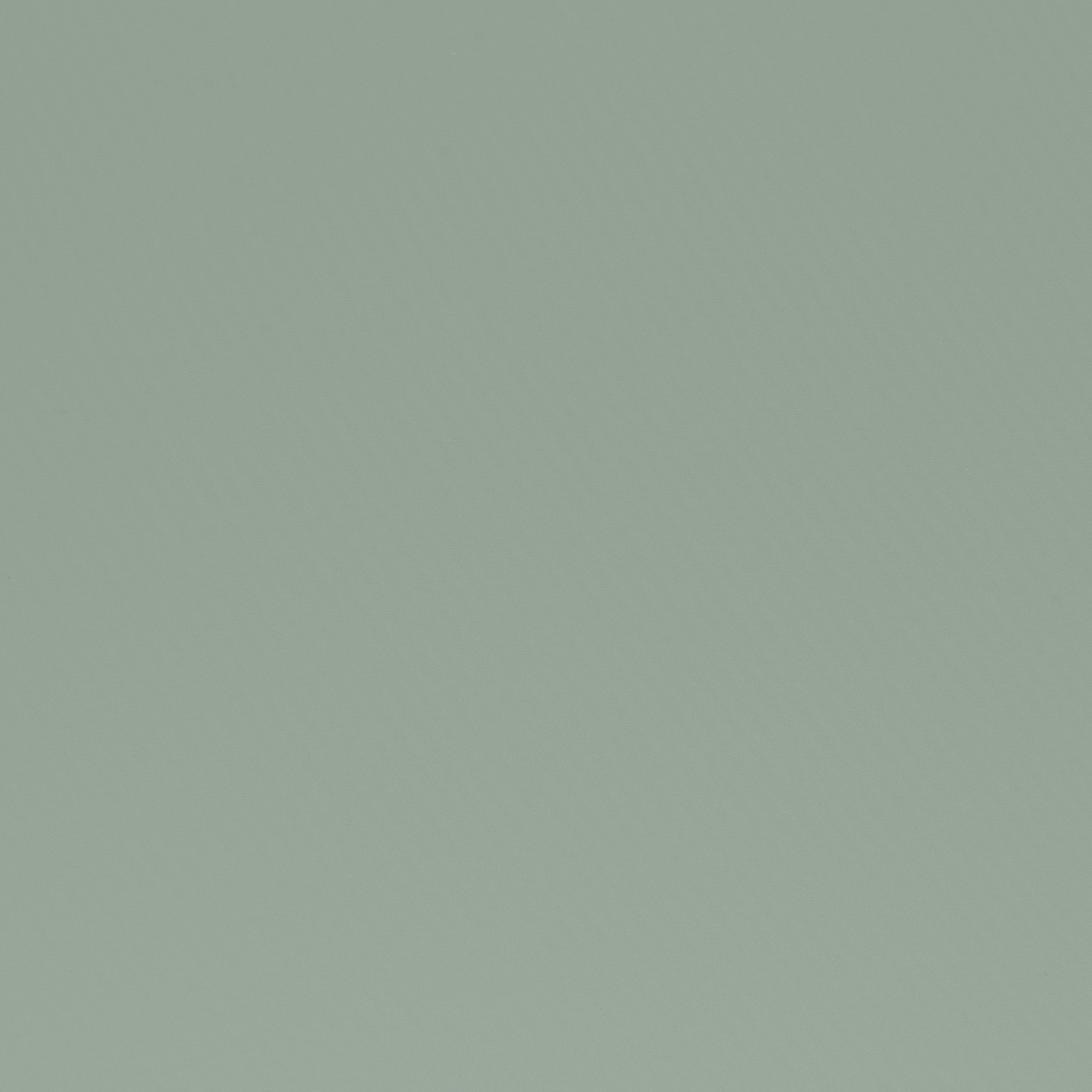 colours/ReedGreenSupermatt.jpg